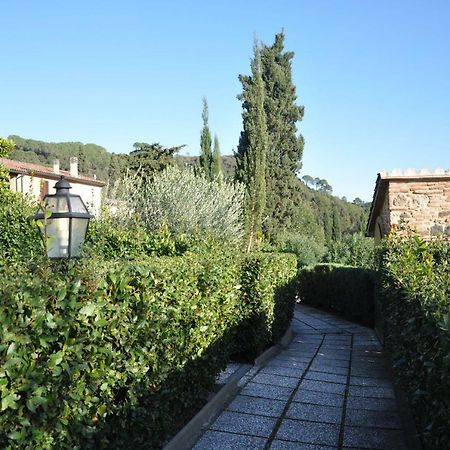 Monolocale Con Piscina S.Martino Apartment Riparbella Exterior photo